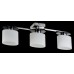 Потолочный светильник Freya Bice FR5101-CL-03-CN