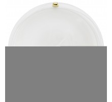 Настенно-потолочный светильник Eglo SALOME 7183